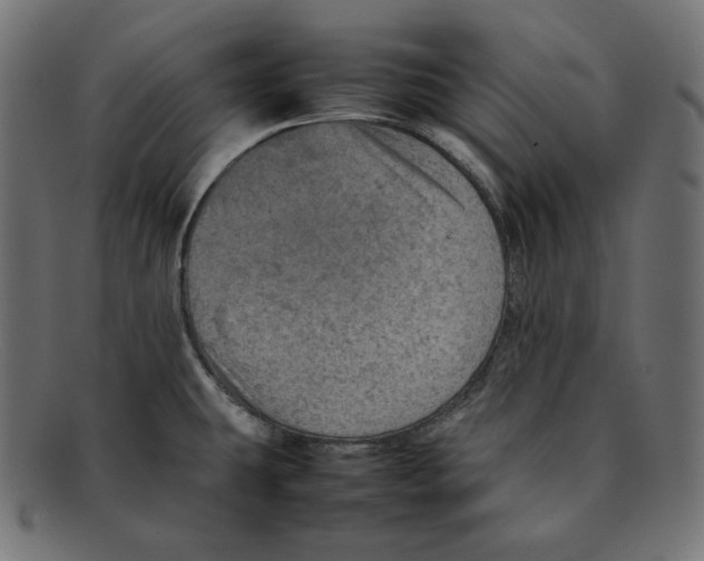 X0000092051431200710101007