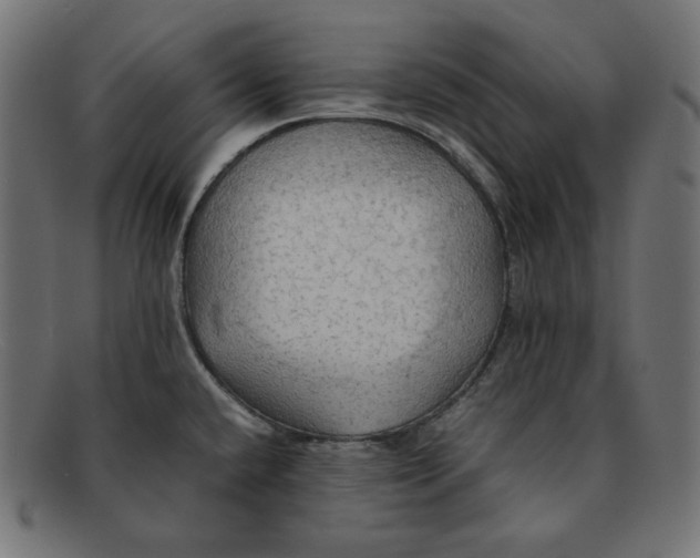 X0000092051432200710101007