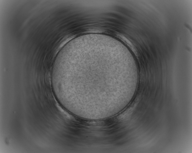 X0000092051433200710101007