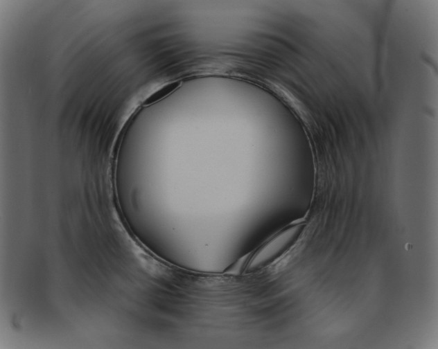 X0000092051434200710101007