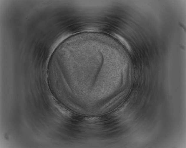 X0000092051435200710101007