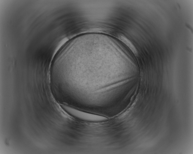 X0000092051436200710101007