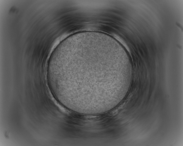 X0000092051437200710101007