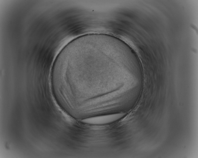 X0000092051440200710101008