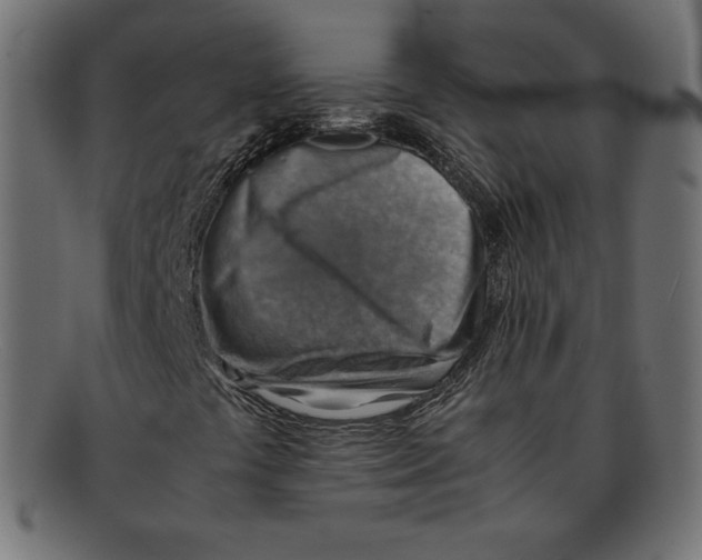 X0000092051441200710101007