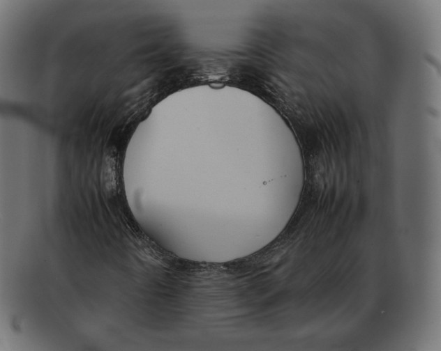 X0000092051442200710101007