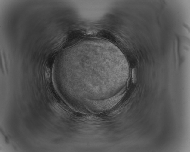 X0000092051443200710101007