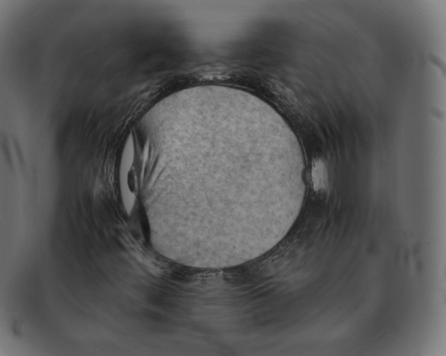 X0000092051444200710101007