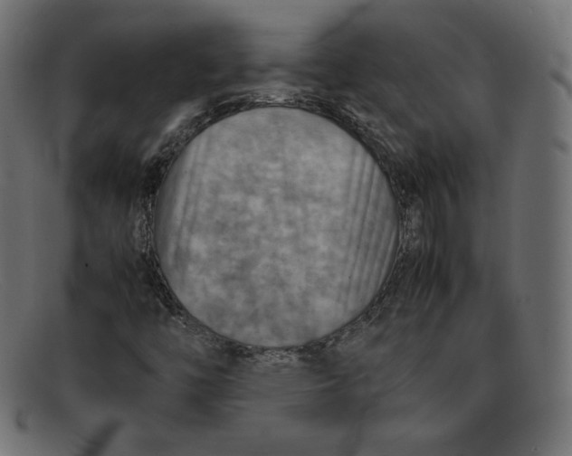 X0000092051446200710101007