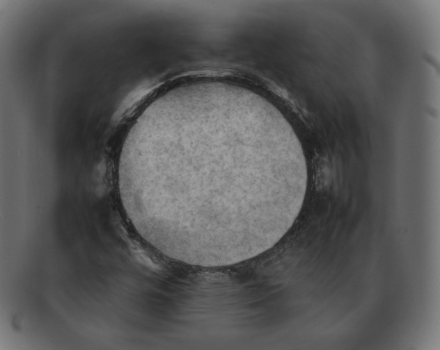 X0000092051448200710101007