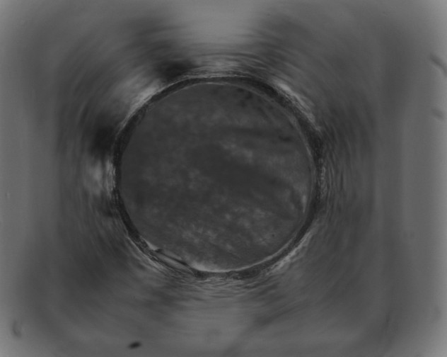 X0000092051449200710101007