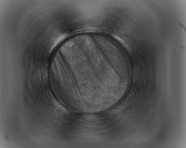 X0000092051450200710101007