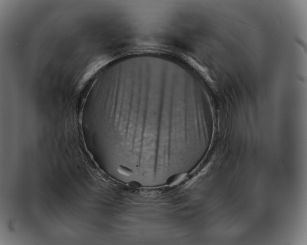 X0000092051453200710101007