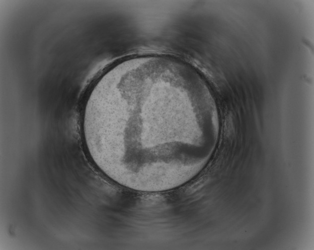 X0000092051454200710101007