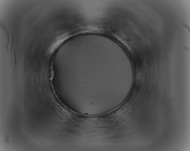 X0000092051455200710101007