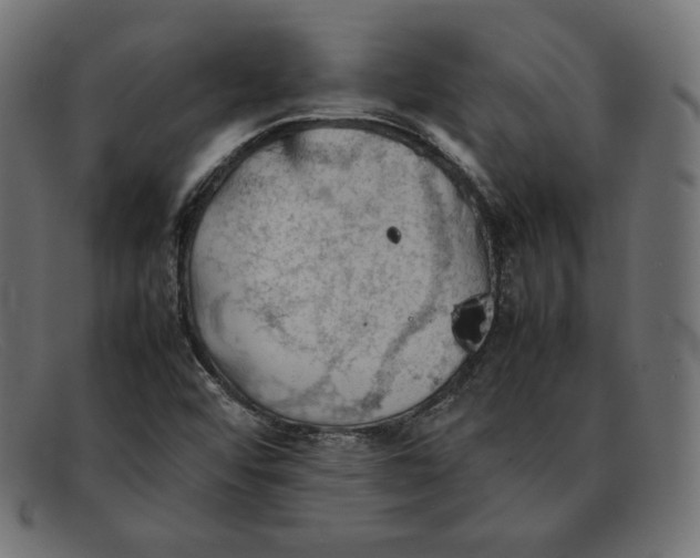 X0000092051456200710101007