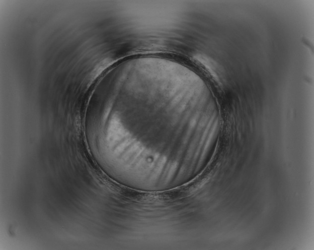 X0000092051457200710101007