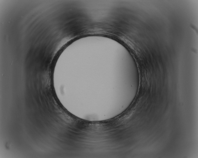 X0000092051458200710101007