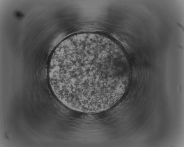 X0000092051459200710101007