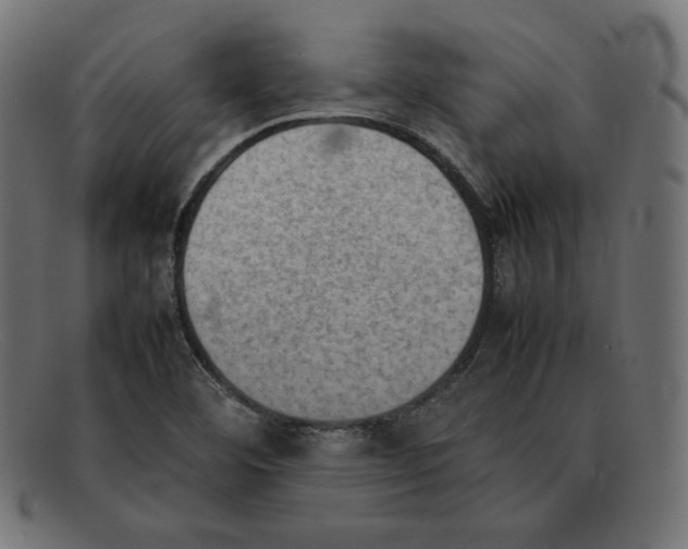 X0000092051460200710101007