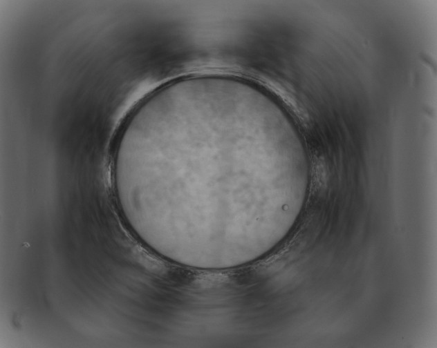 X0000092051462200710101007