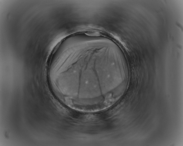 X0000092051463200710101007