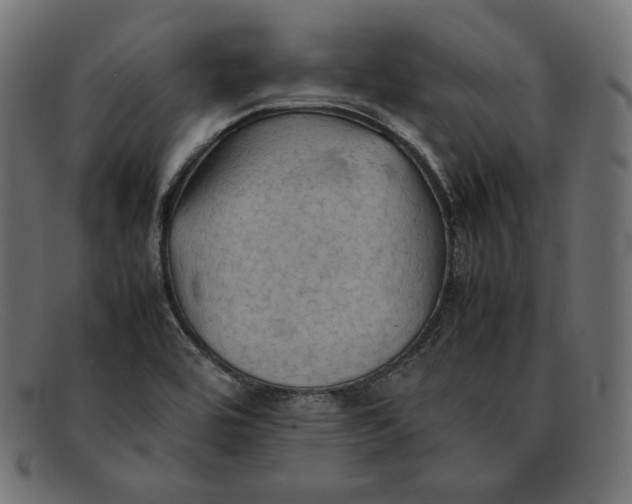 X0000092051464200710101007