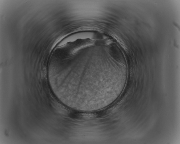 X0000092051465200710101007