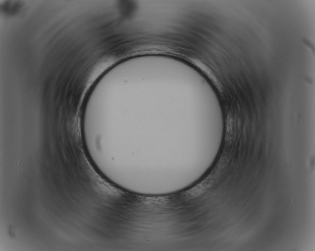 X0000092051466200710101007