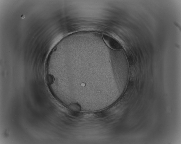 X0000092051467200710101007