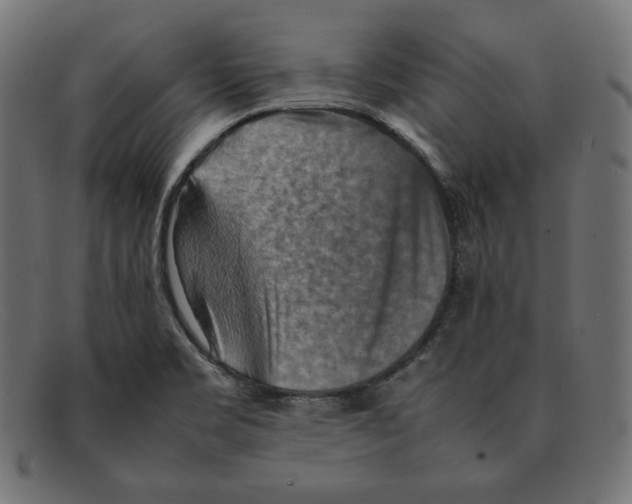 X0000092051469200710101007