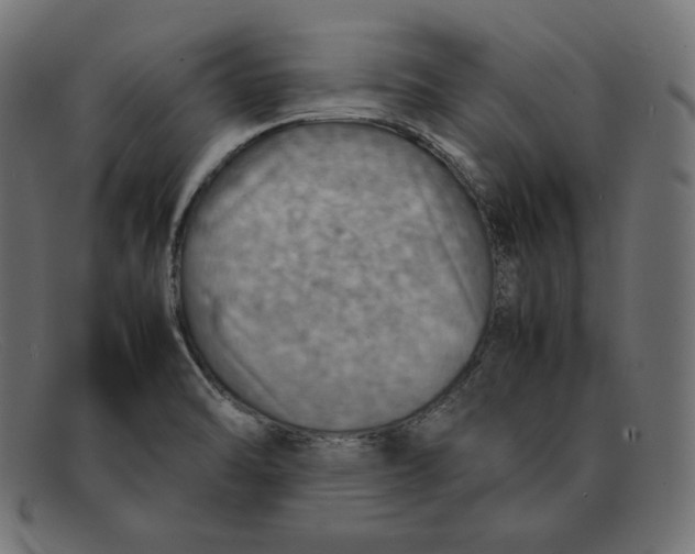 X0000092051470200710101007