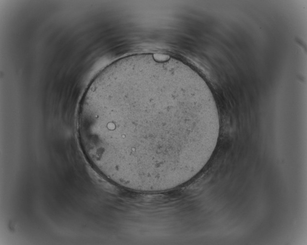 X0000092051471200710101007