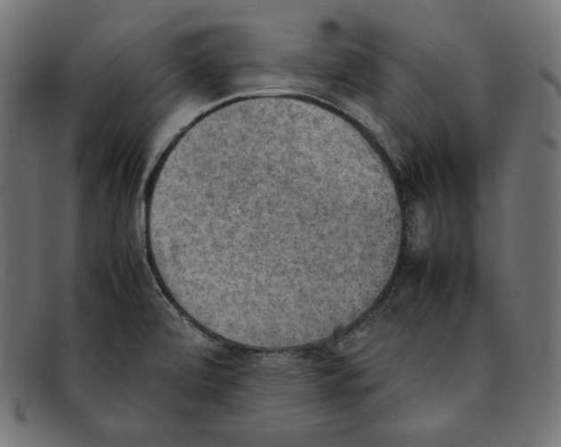 X0000092051472200710101007