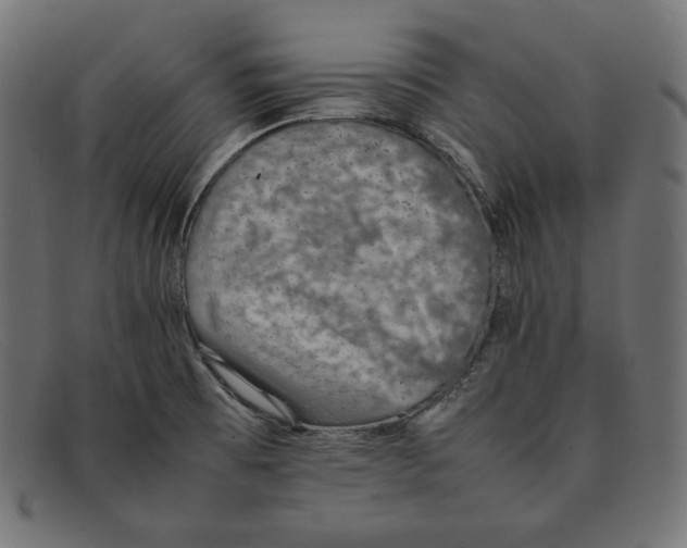 X0000092051473200710101007