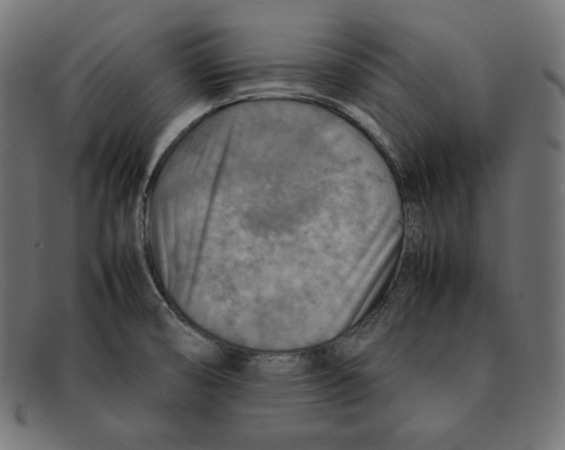 X0000092051474200710101007