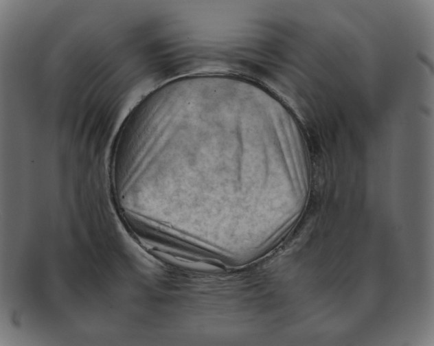 X0000092051475200710101007