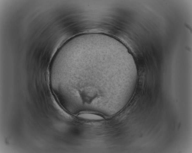 X0000092051476200710101007