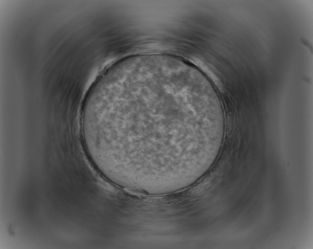 X0000092051477200710101007