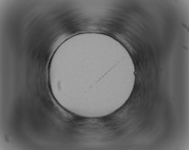 X0000092051479200710101006