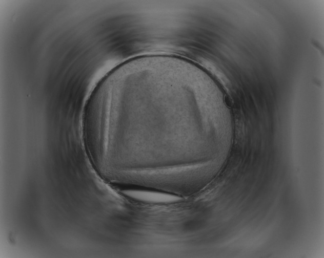 X0000092051480200710101006