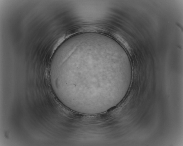 X0000092051481200710101006