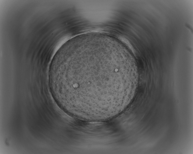 X0000092051483200710101006