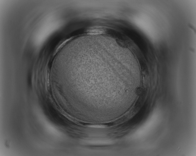 X0000092051487200710101006