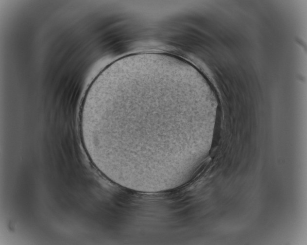 X0000092051488200710101006