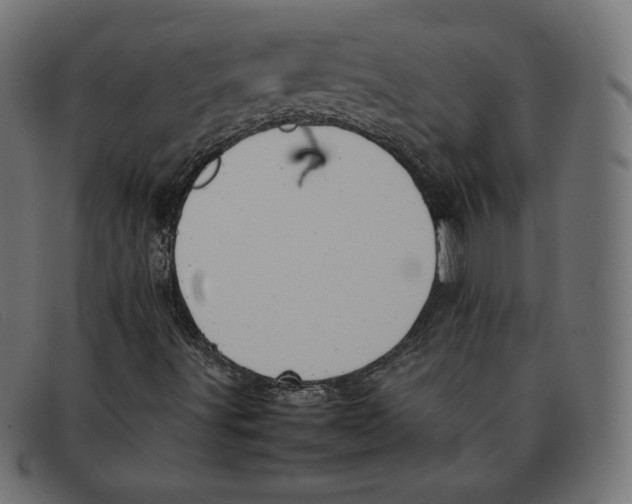 X0000092051491200710101006