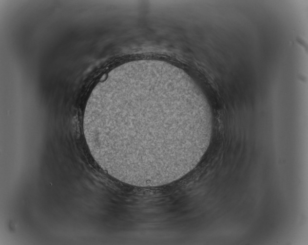 X0000092051493200710101006