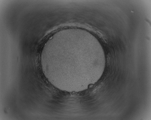 X0000092051494200710101006