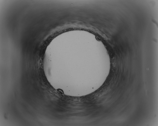 X0000092051495200710101006