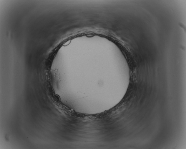 X0000092051496200710101006